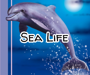Sea-Life