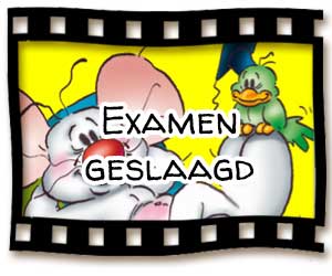 examen-geslaagd